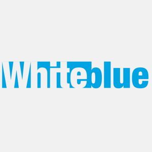Logo - WHITEblue